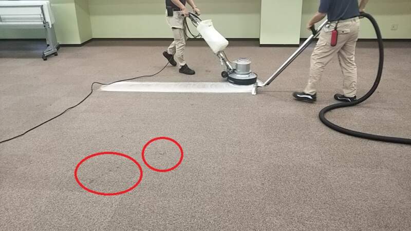 シャンプークリーニング