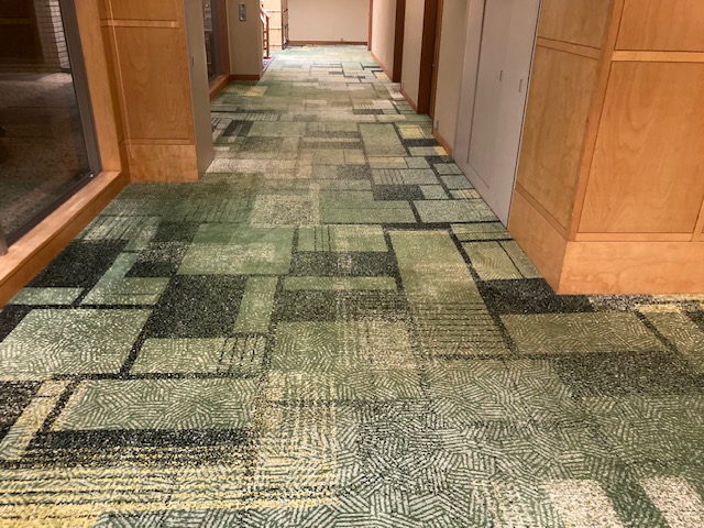 カーペットクリーニング後