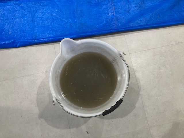 イスクリーニング