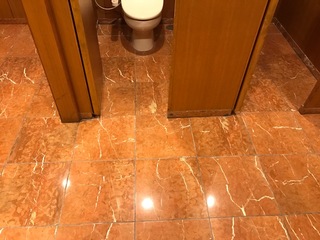 トイレ清掃.JPG